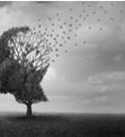 האם קיים קשר בין אלצהיימר (או בשמה השני "סוכרת סוג 3") לבין סוכרת סוג 2?-תמונה האם קיים קשר בין אלצהיימר (או בשמה השני "סוכרת סוג 3") לבין סוכרת סוג 2?-תמונה